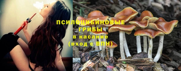 кристаллы Ладушкин