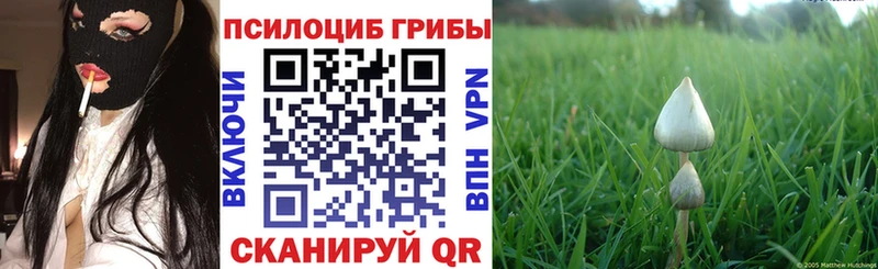 Купить где  Навашино  Галлюциногенные грибы Psilocybine cubensis 